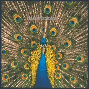Bluetones – Expecting To Fly