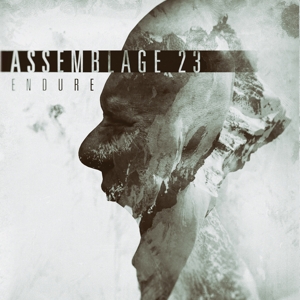Assemblage 23 – Endure