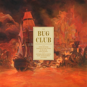 Bug Club – On the Intricate Inner Workings of the System