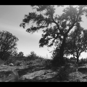 Amba, Zoh – O, Sun
