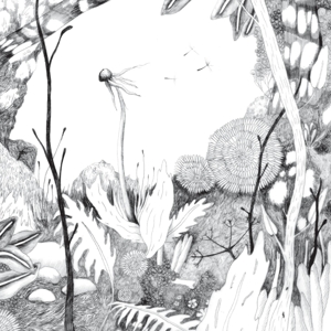 Back & Forth – Time Whispers