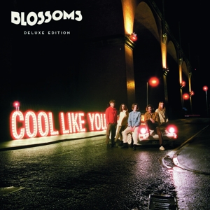 Blossoms – Cool Like You