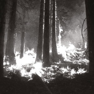 Den Sorte Dod – Undergangen