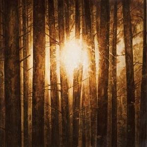 In Mourning – Echoes