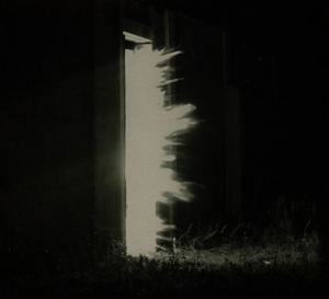Fink – Horizontalism