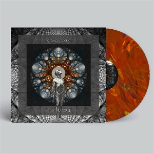 Chakra Vimana – Feed My Soul