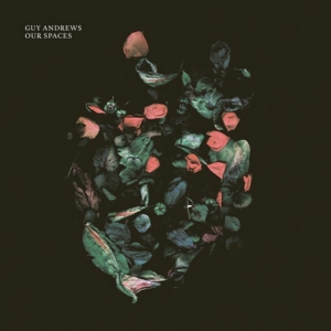 Andrews, Guy – Our Spaces