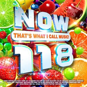 V/A – Now That S What I Call Music! 118