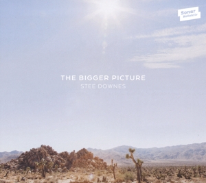 Downes, Stee – Bigger Picture