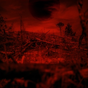 Monnik – Bitteroogst