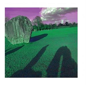 Legendary Pink Dots, the – Came Out From the Shadows Vol. 5