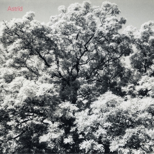 Astrid – Always Digging the Same Hole