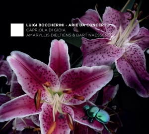 Carmina Quartet & Rolf Lisleva – Arie Da Concerto