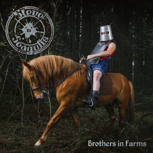 Steve 'N' Seagulls – Brothers In Farms