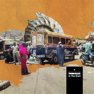 Dubfiles, Paolo Baldini – In the Shell