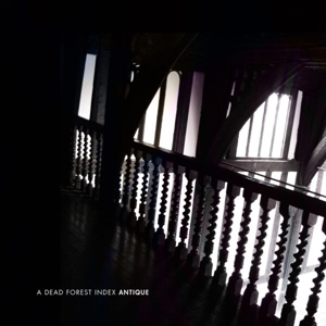 A Dead Forest Index – Antique