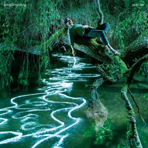 Lee, Sam – Songdreaming
