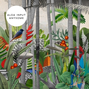 Aloa Input – Anysome