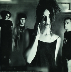 Cranes – Population Four