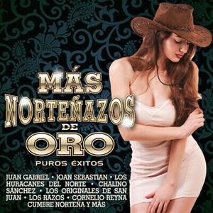 V/A – Mas Nortenazos De Oro