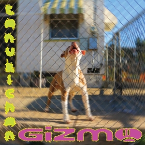Tanukichan – Gizmo