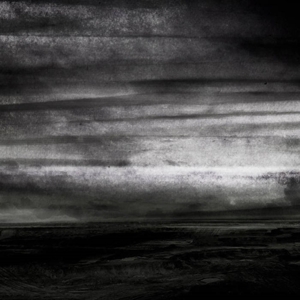 Stray Dogs – Wasteland