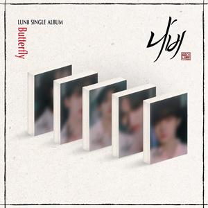 Lun8 – Butterfly