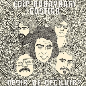 Akbayram, Edip -& Dostlar- – Nedir Ne Degildir