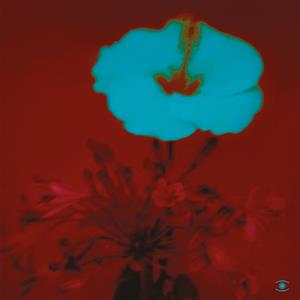 Beltran, John – Sunrise and the Way We Live