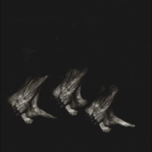Leonov – Procession