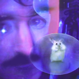 Bachratten – Durch Dich Durch