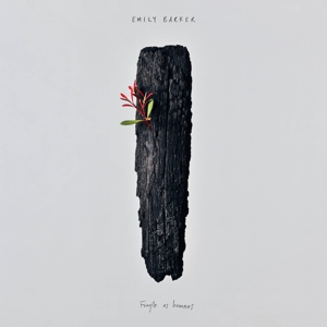 Barker, Emily – Fragile As Humans